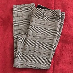 Express Editor Pants